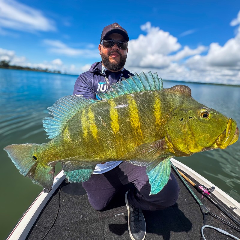 Vardiron Guia de Pesca
