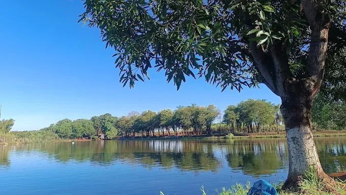Estância da Pesca - Foto 4