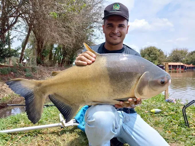 Estância da Pesca - Foto 3
